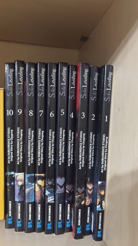 Solo leveling - leveling,
