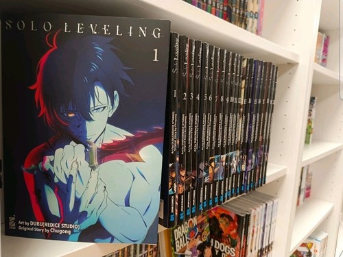 Solo leveling sequenza - leveling,