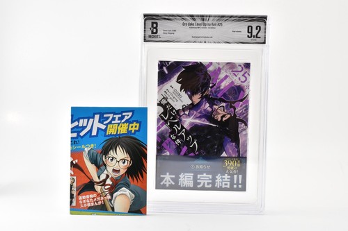 Bgs 9 0 livellamento - 9.2, 9.0
